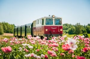 Der Pensionistenverband Unterweitersdorf ladet ein zum Ausflug.